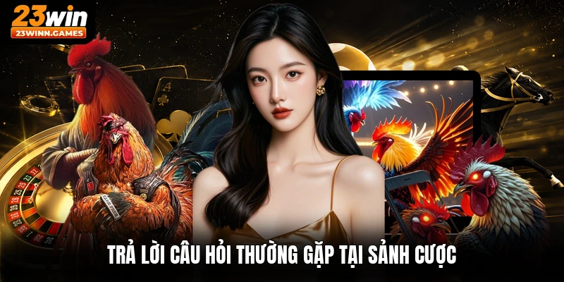 Trả lời câu hỏi thường gặp tại sảnh cược